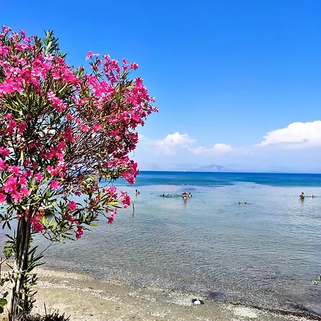 τhe οld Watermill Manor Διαμέρισμα *